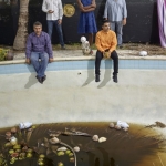 cast in Key West pool
